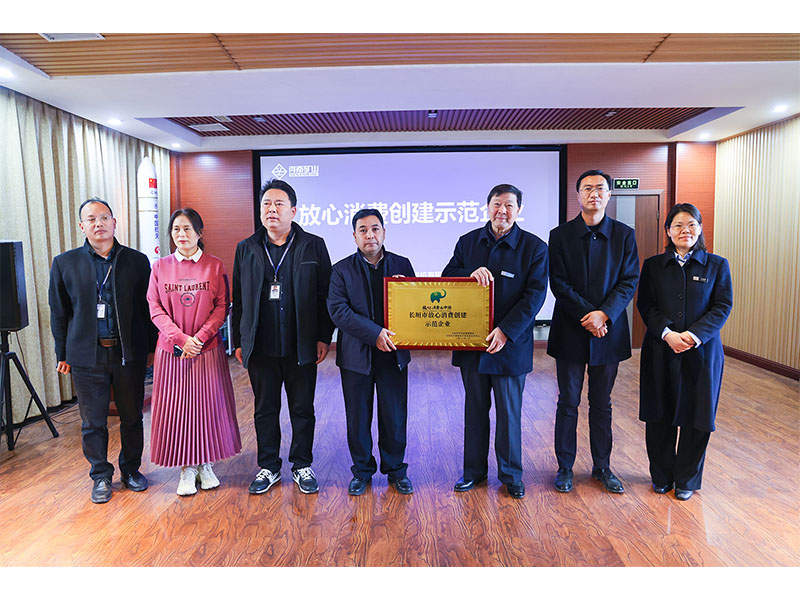 又一示范企業(yè)標桿！河南礦山再傳捷報