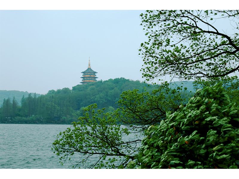 人文杭州，父母?jìng)儊砹?！河南礦山第十三屆孝文化感恩旅游節(jié)第三站